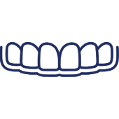 Dental bridge illustration showing eight connected artificial teeth in a row.